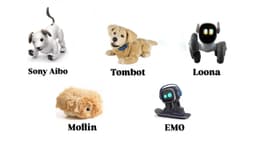 Top 5 Cute AI Pets of 2025: Features, Prices, and Review