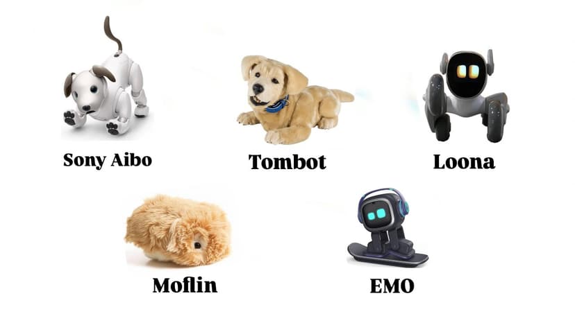 Top 5 Cute AI Pets of 2025: Features, Prices, and Review